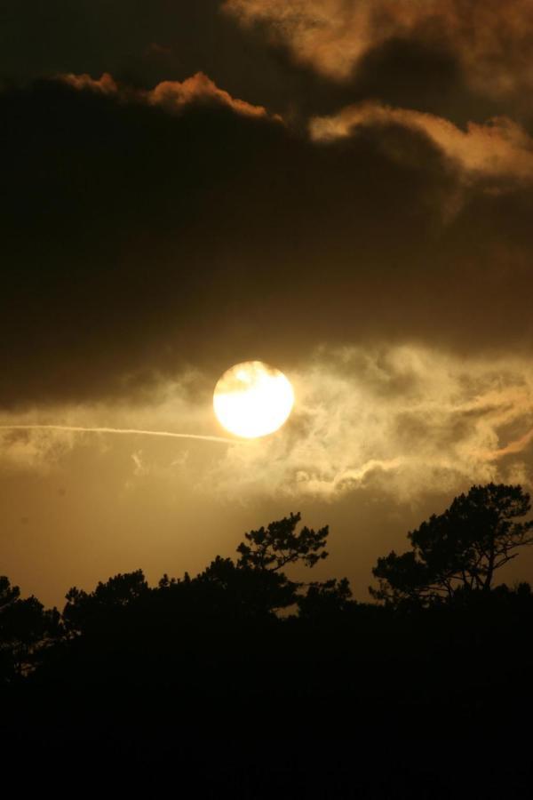 Dream By The Sea Villa Madalena  Bagian luar foto
